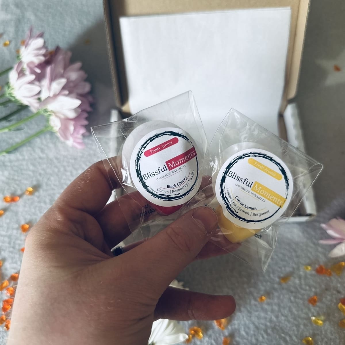 Wax Melt Sample Box