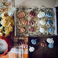 12 Pumpkin Shaped Wax Melt Gift Box