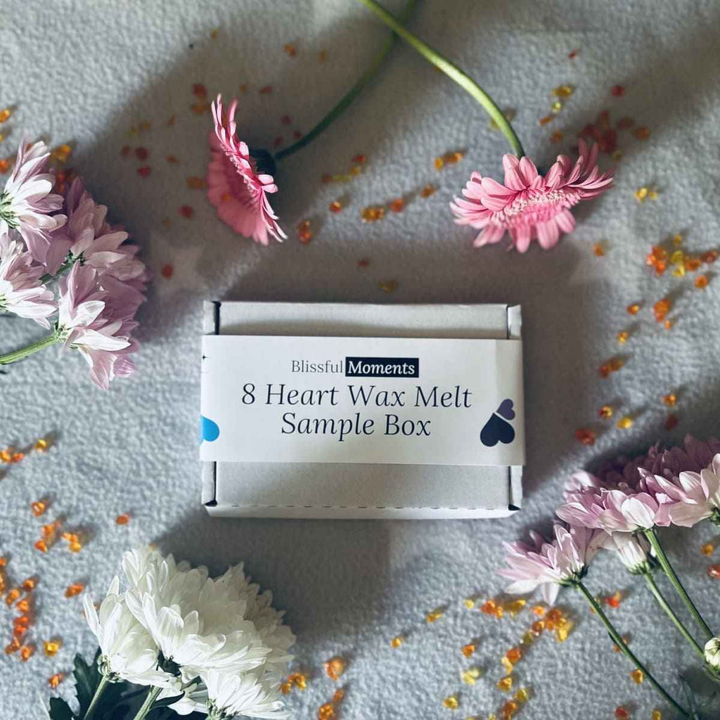 Wax Melt Sample Box