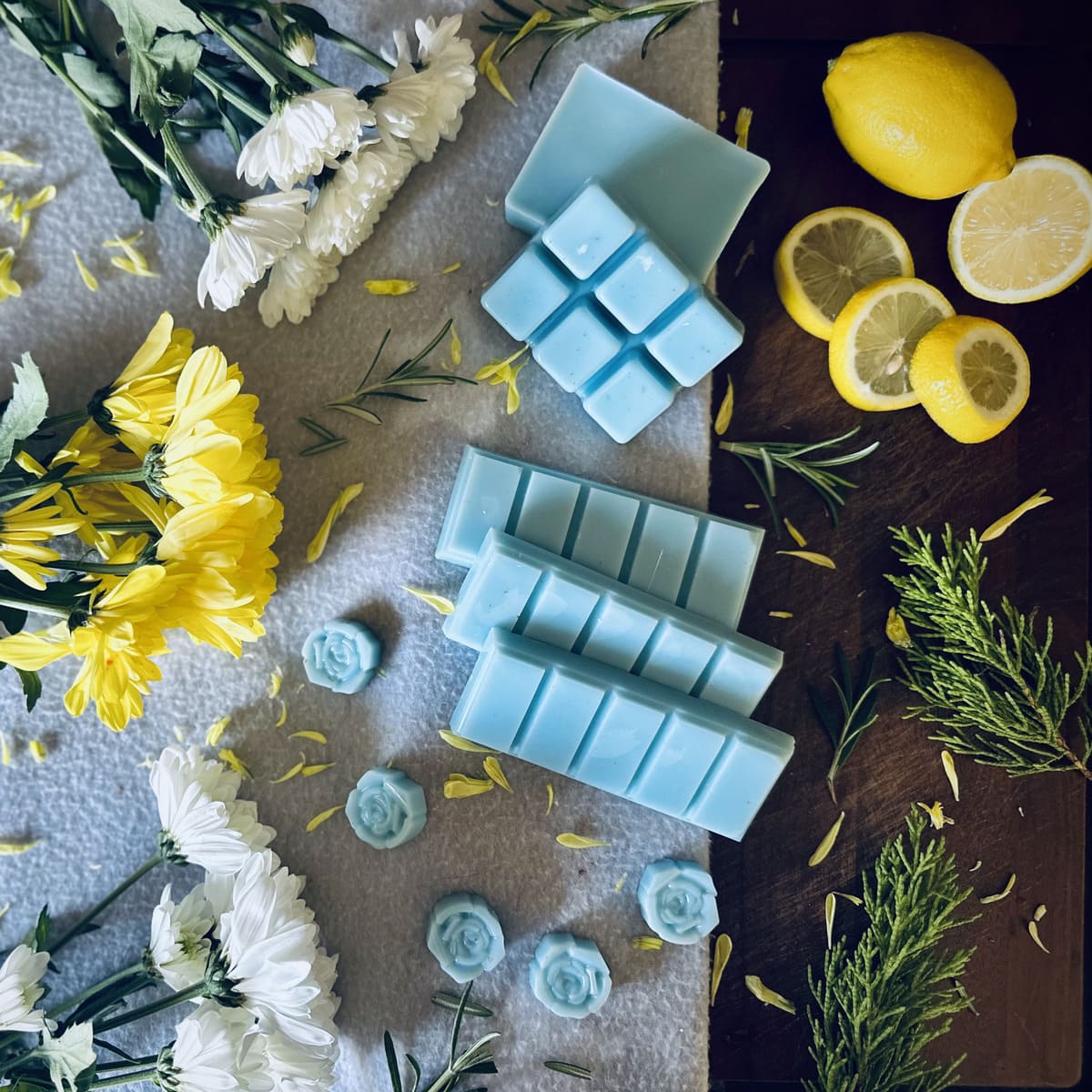 Beach House Wax Melts
