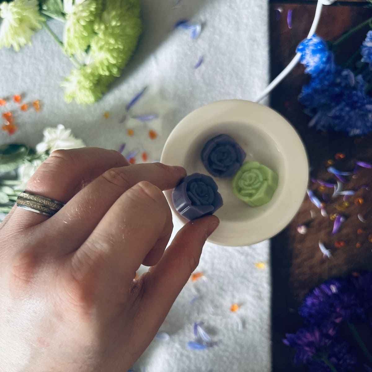 Abduction Wax Melts