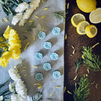 Beach House Wax Melts