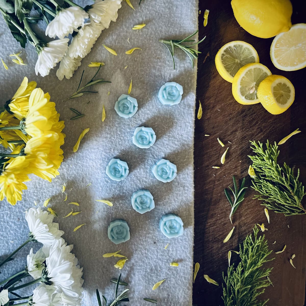 Beach House Wax Melts