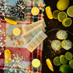 White Christmas Snapbar wax melts surrounded in a festive set up with lemons, limes, and string lights on a Christmas checked cloth 