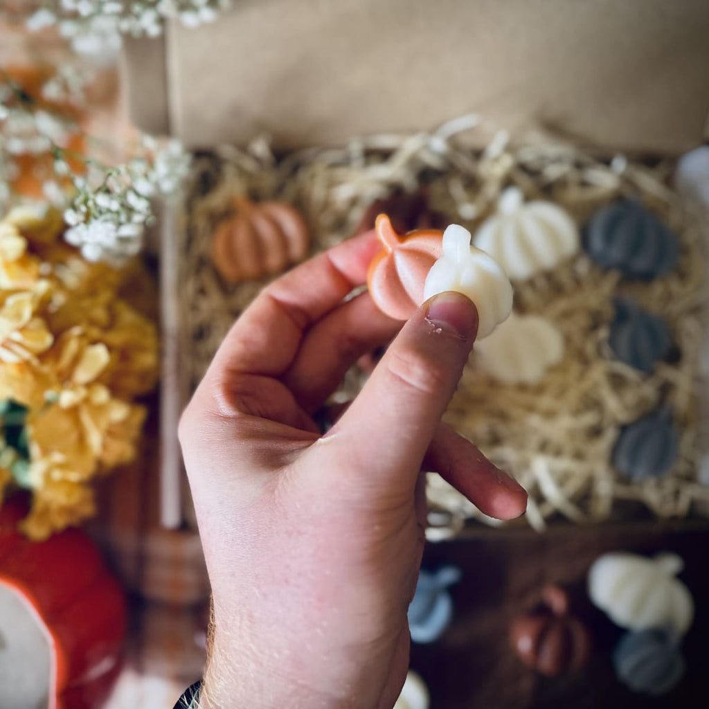 12 Pumpkin Shaped Wax Melt Gift Box