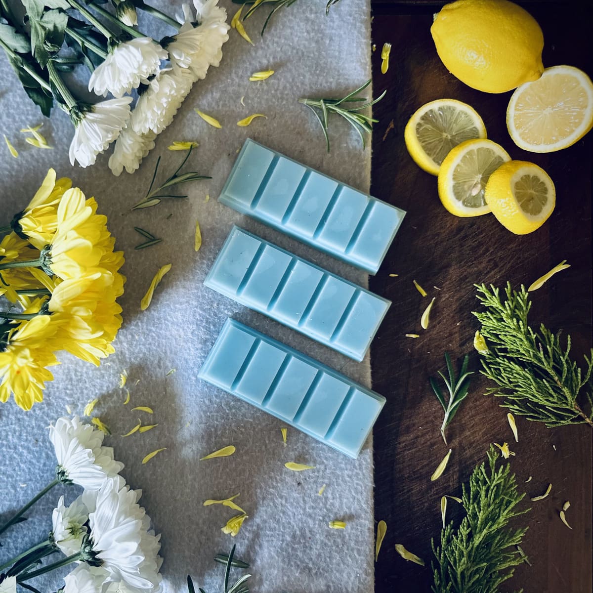 Beach House Wax Melts