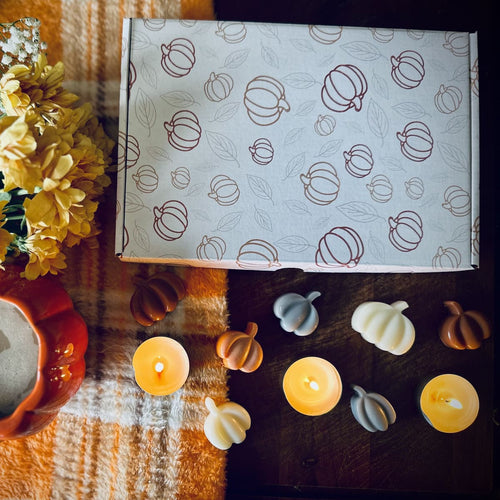 12 Pumpkin Shaped Wax Melt Gift Box