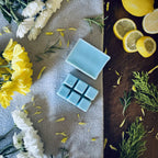 Beach House Wax Melts