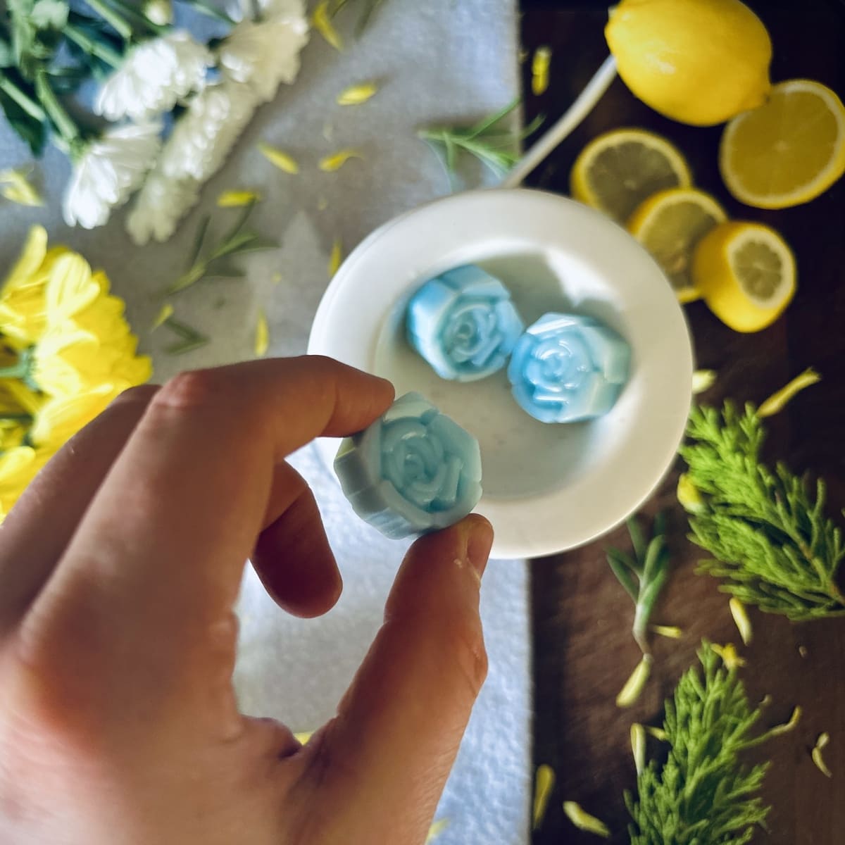 Beach House Wax Melts
