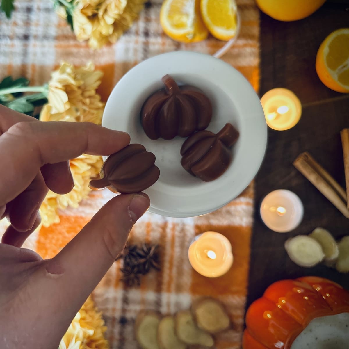 Spiced Pumpkin Wax Melts