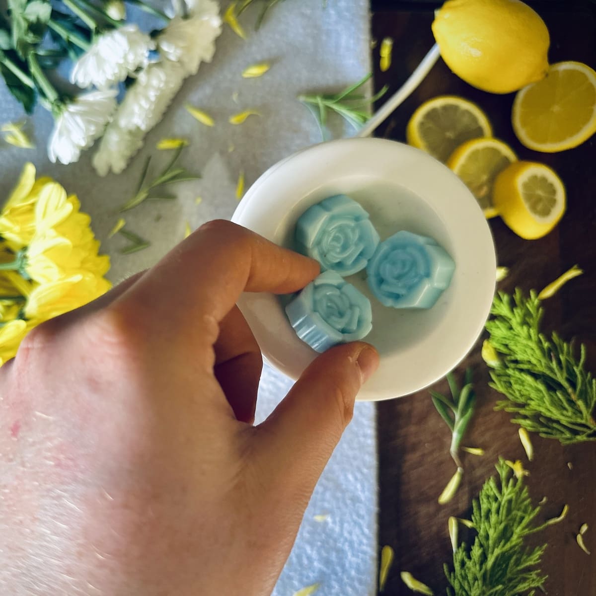 Beach House Wax Melts