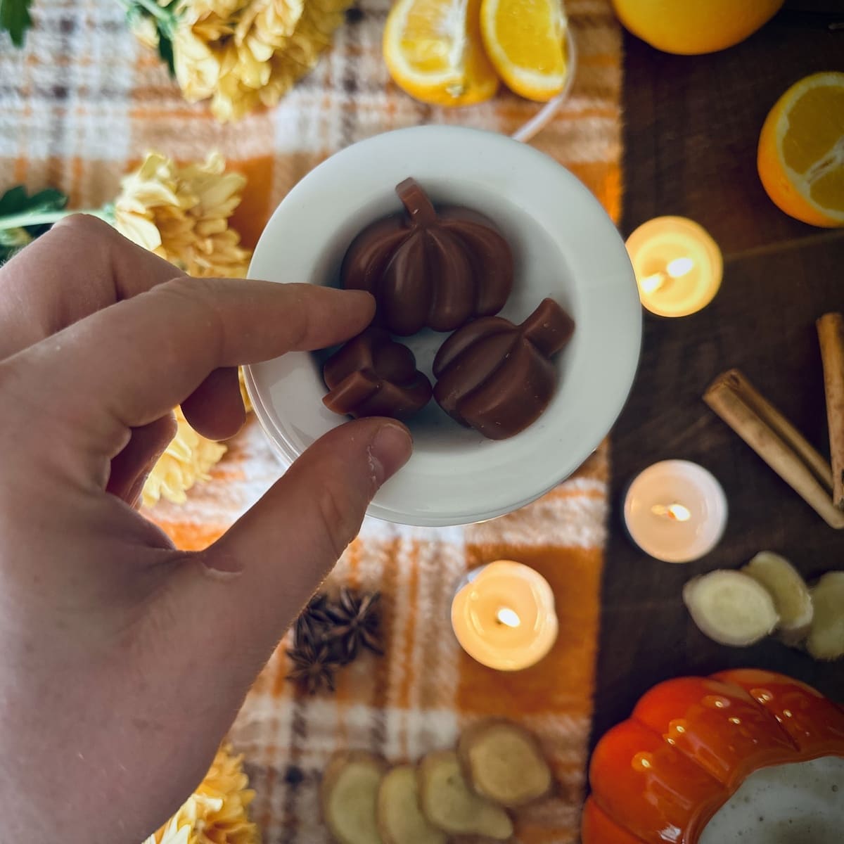 Spiced Pumpkin Wax Melts