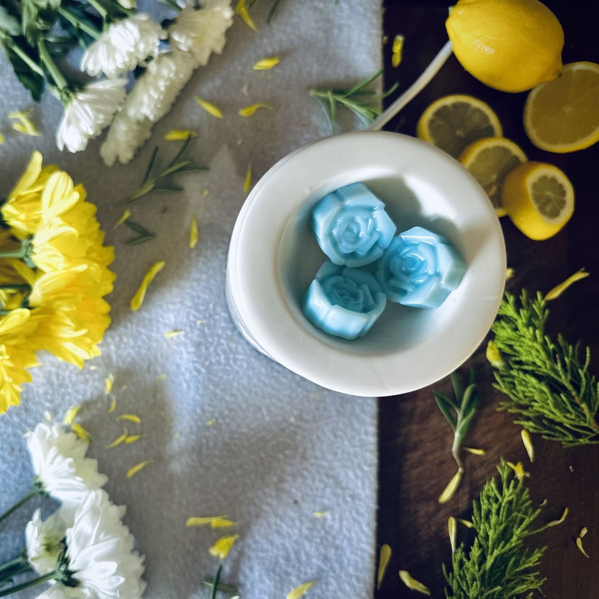 Beach House Wax Melts