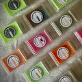Snapbar and Clamshell Spring Wax Melt Bundles