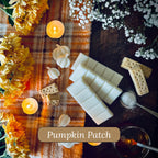 White Pumpkin snapbar wax melts surrounded by flowers and candles on a orange blanket